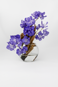 Vase lune 10" avec orchidées violettes