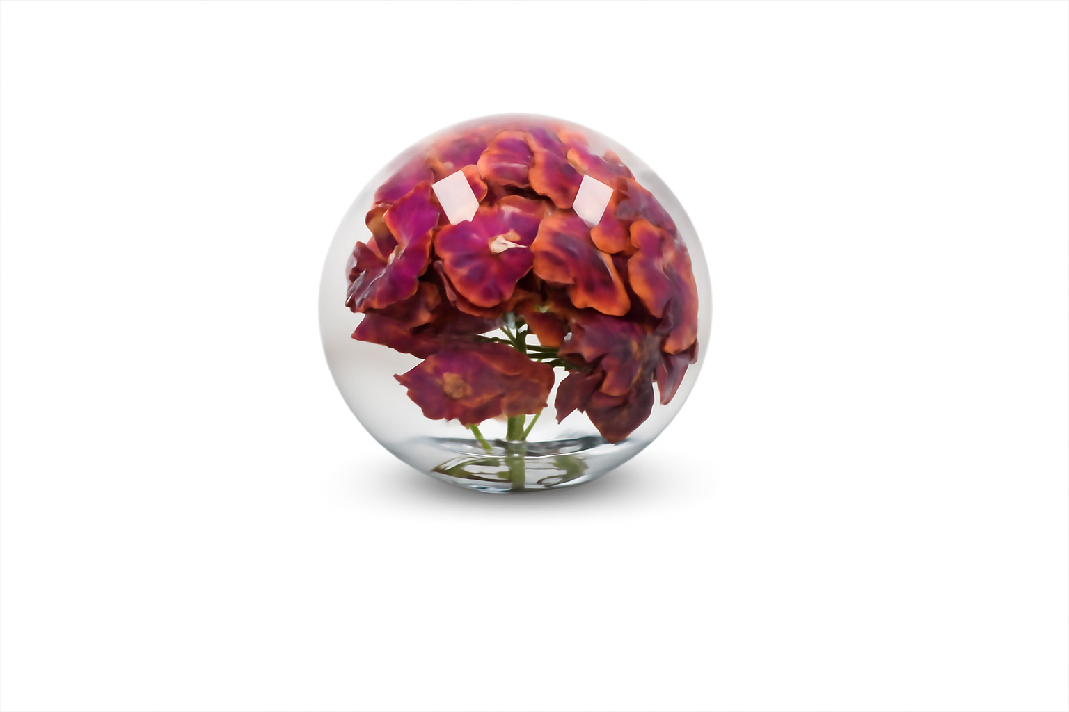 Vase 30cm avec orchidées roses
