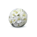 Vase 30cm avec orchidées blanches