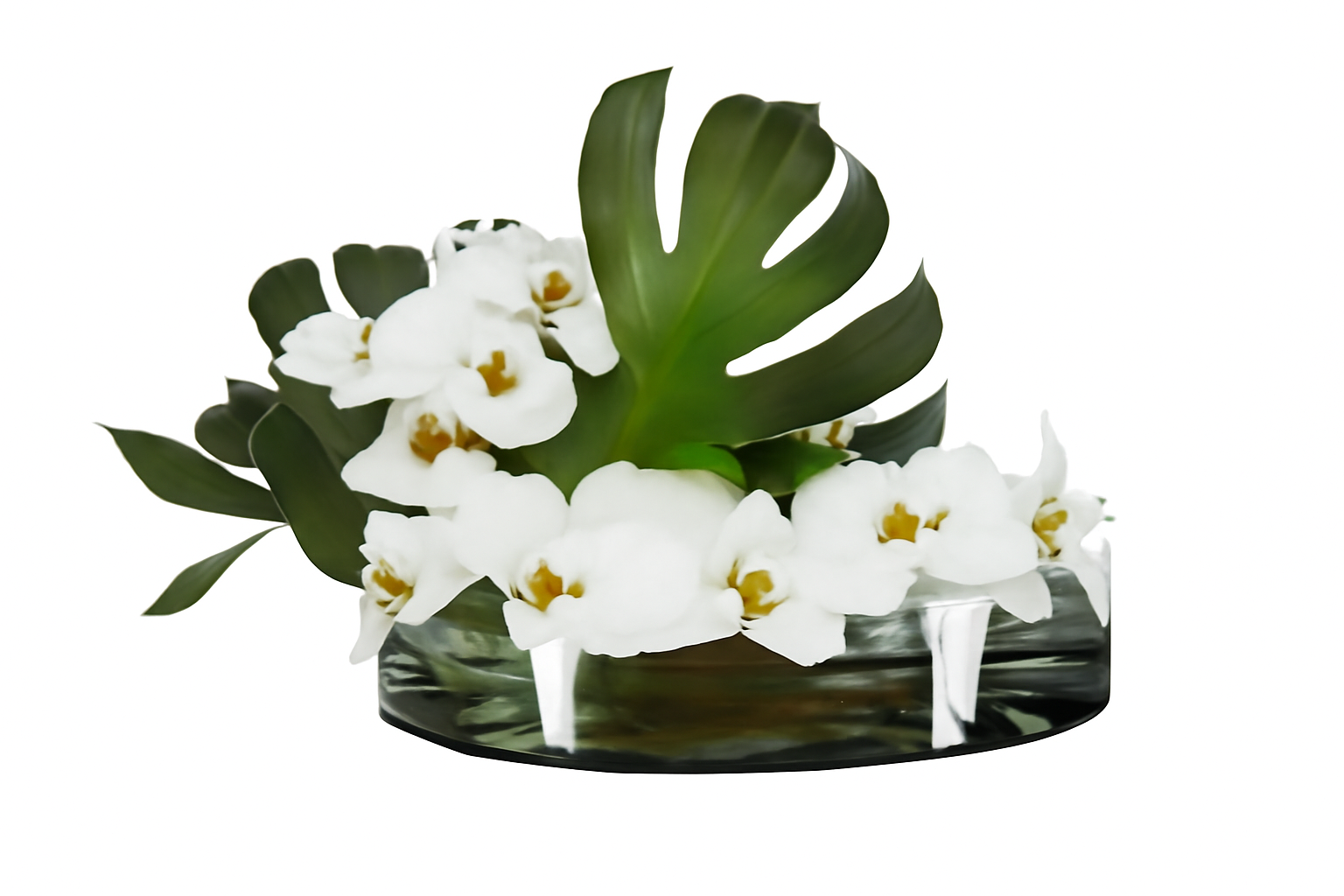 Coupe 40 cm avec feuille de Monstera et orchidées blanches