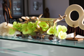 Cache-pot en verre plat 60 cm avec orchidées vertes