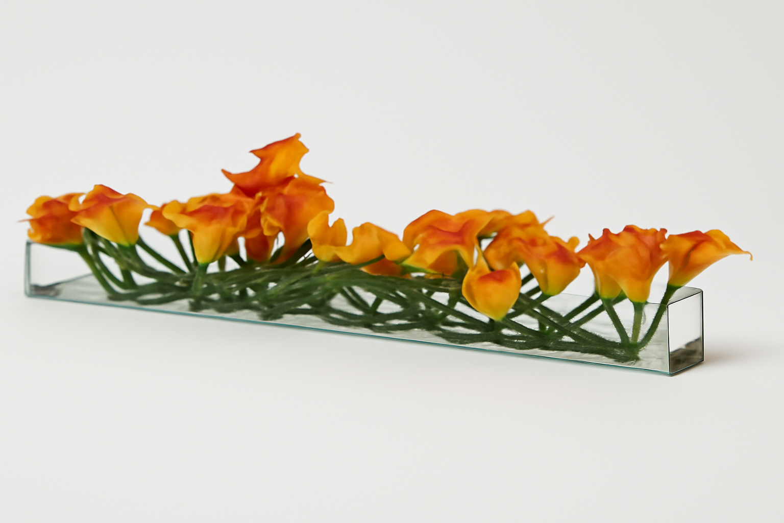 Cache-pot en verre plat 120 cm avec callas mangue