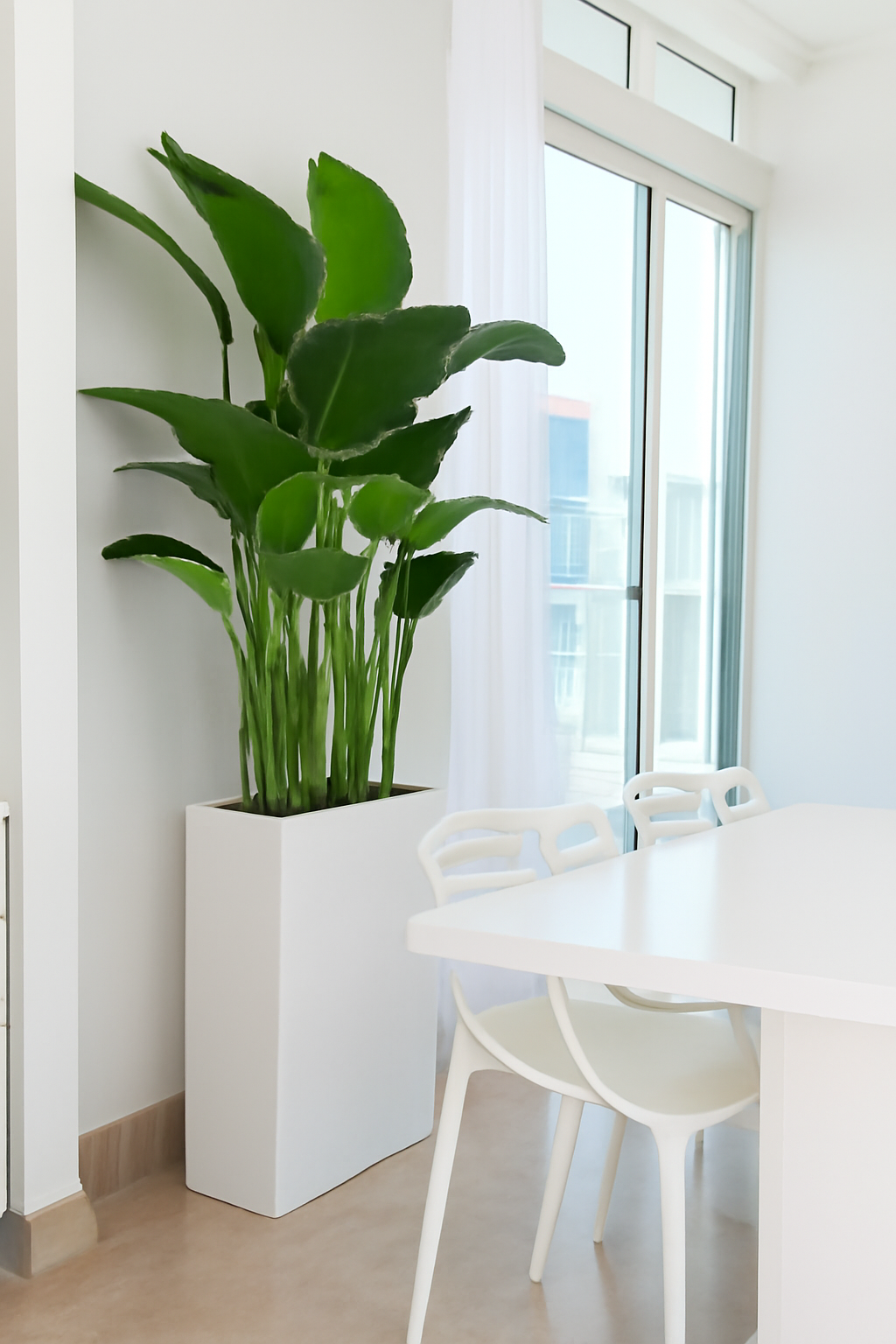 Plante décorative 1,5 m avec cache-pot blanc brillant