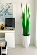 Cache-pot blanc brillant avec herbe serpent 63