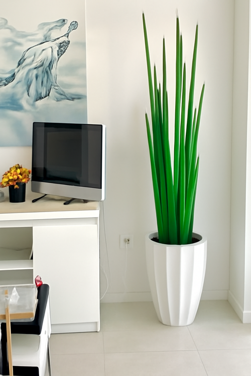 Cache-pot blanc brillant avec herbe serpent 63