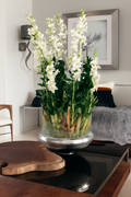 Cache-pot avec orchidées Dendrobium