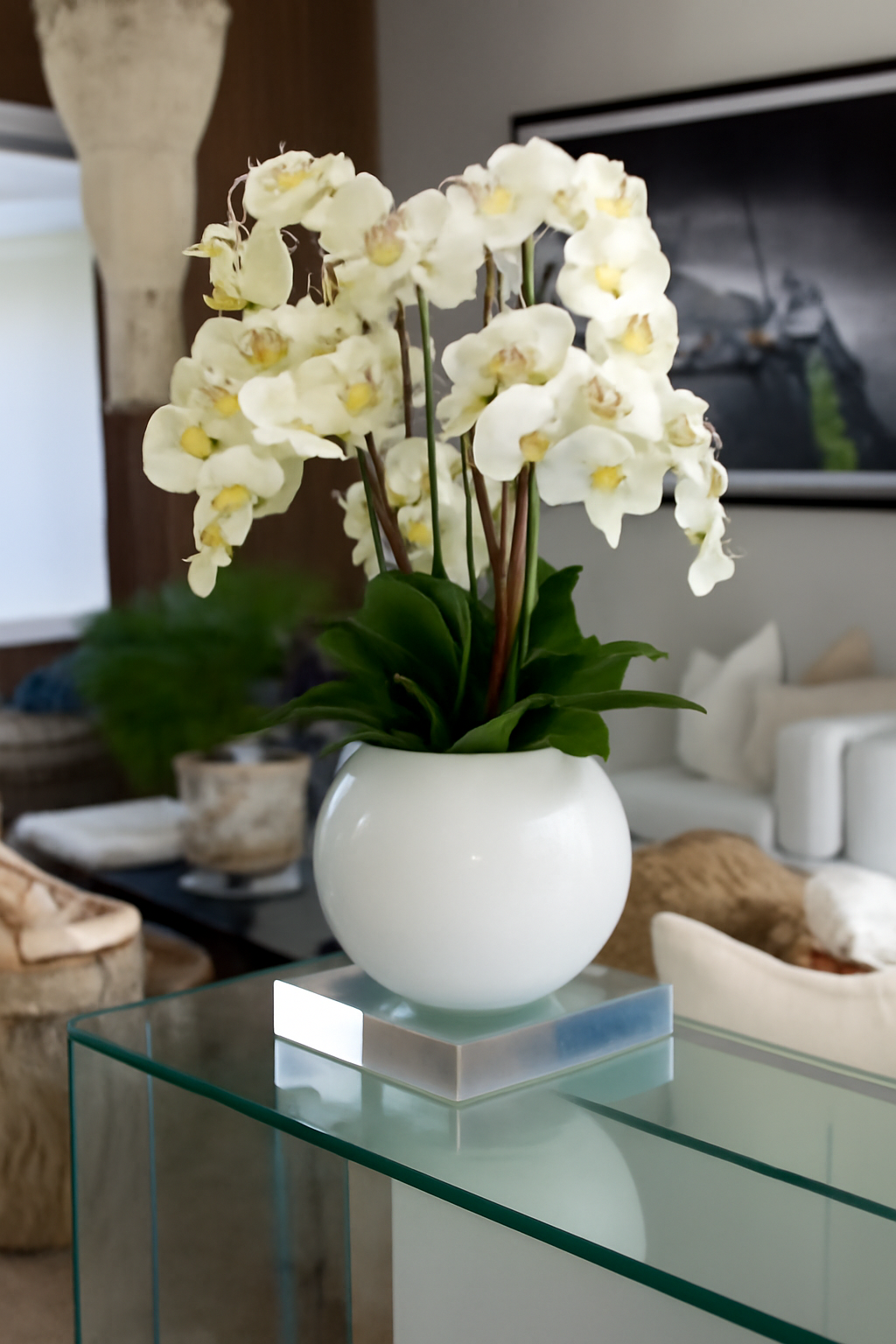 Coupe en fibre de verre avec orchidées et feuillage