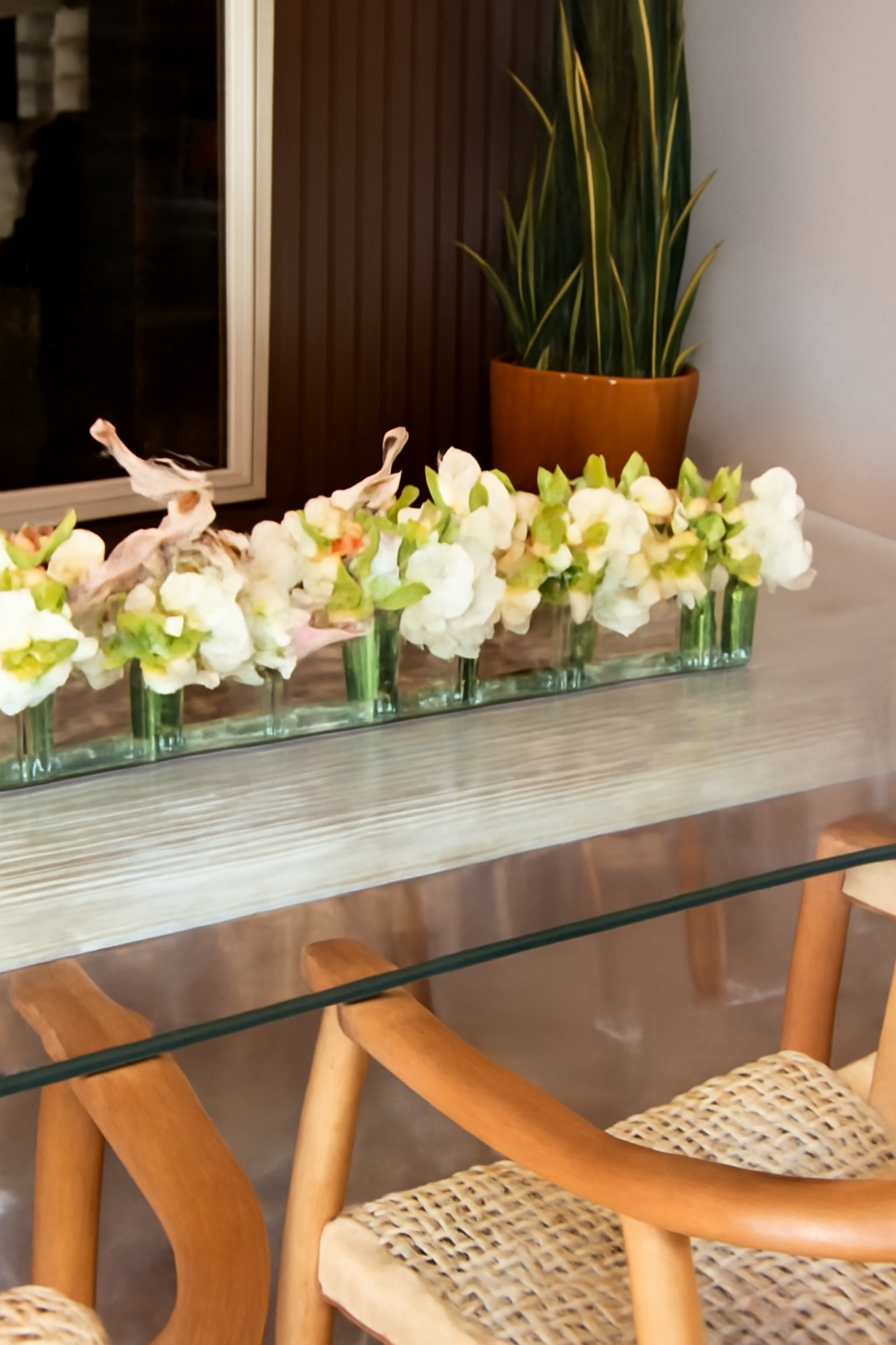 Casa Moderne avec Vanda blanches et cymbidiums verts