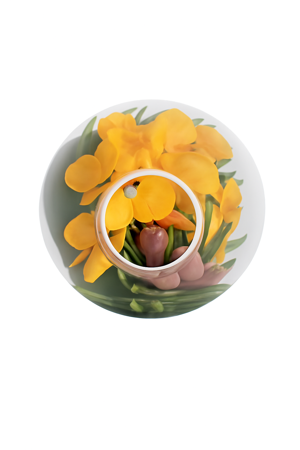 Vase avec orchidées jaunes et palmier