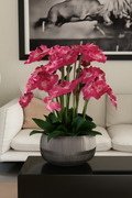 Coupe avec orchidées Phalaenopsis roses