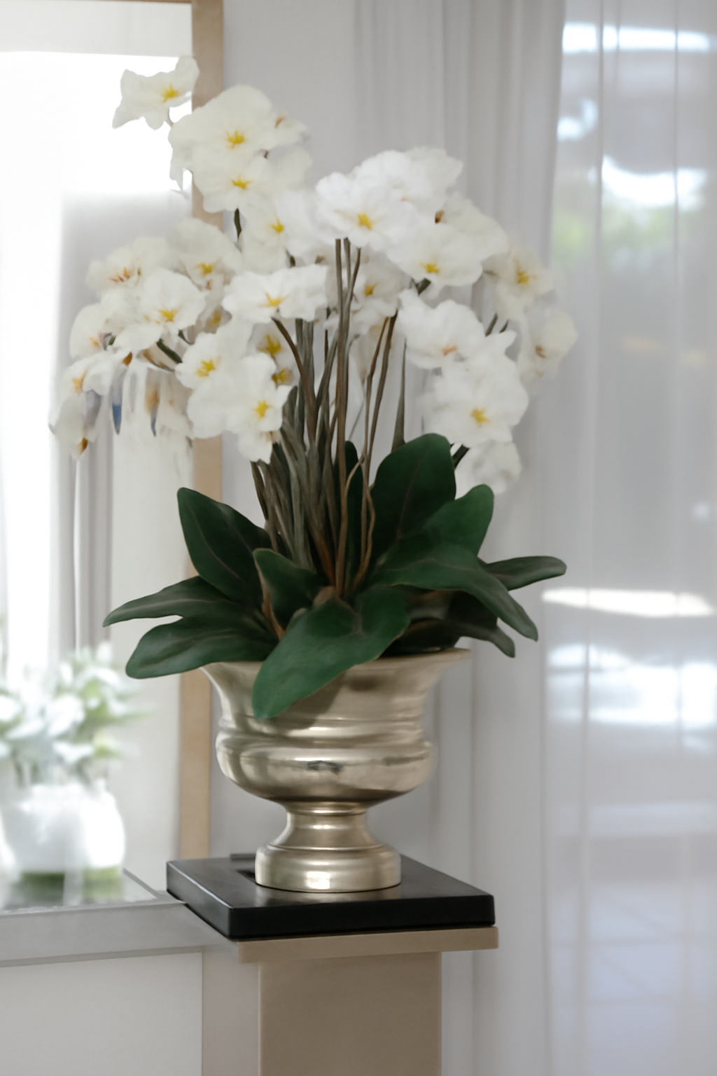 Urne avec orchidées Phalaenopsis