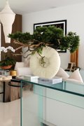 Vase moyen avec plante retombante et bois flotté