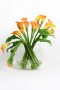 Vase lune avec callas mangue