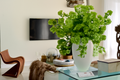 Vase vert aux hortensias