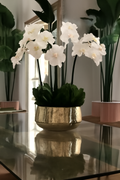 Composition florale orchidées dans grand pot doré