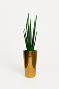 Cône effilé moyen en acier inoxydable or avec herbe serpent moyenne