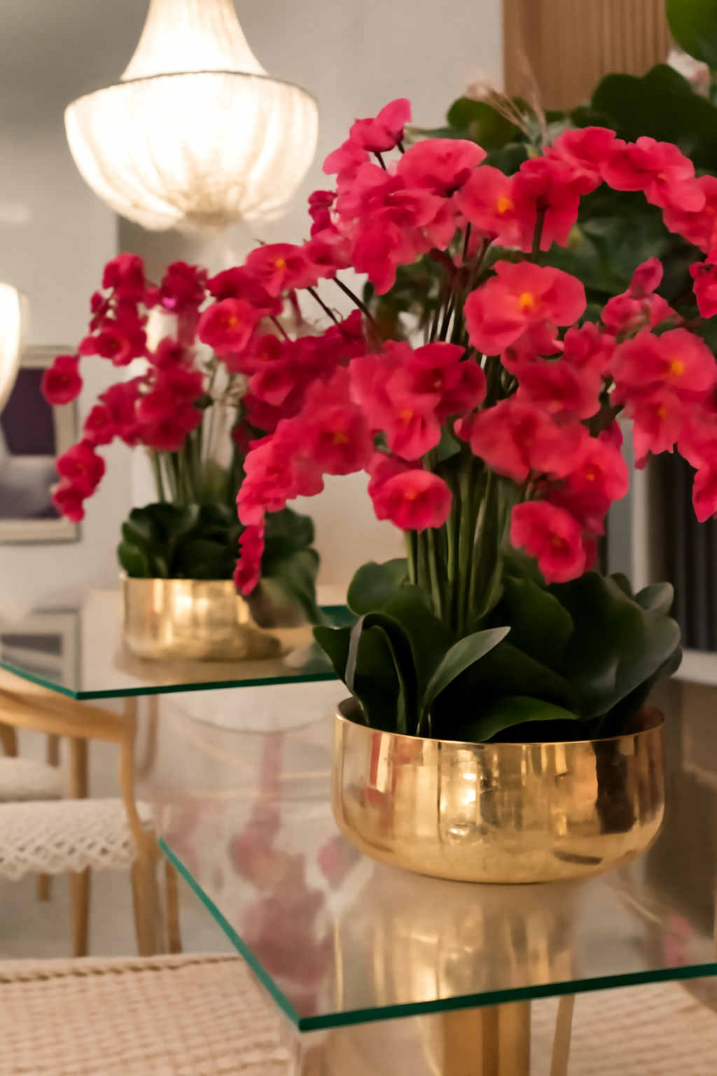 Composition florale orchidées rouges dans grand pot doré