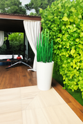 Herbe serpent 120 cm avec cache-pot