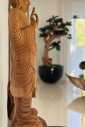 Objet décoratif retombant dans pot noir brillant Terragona