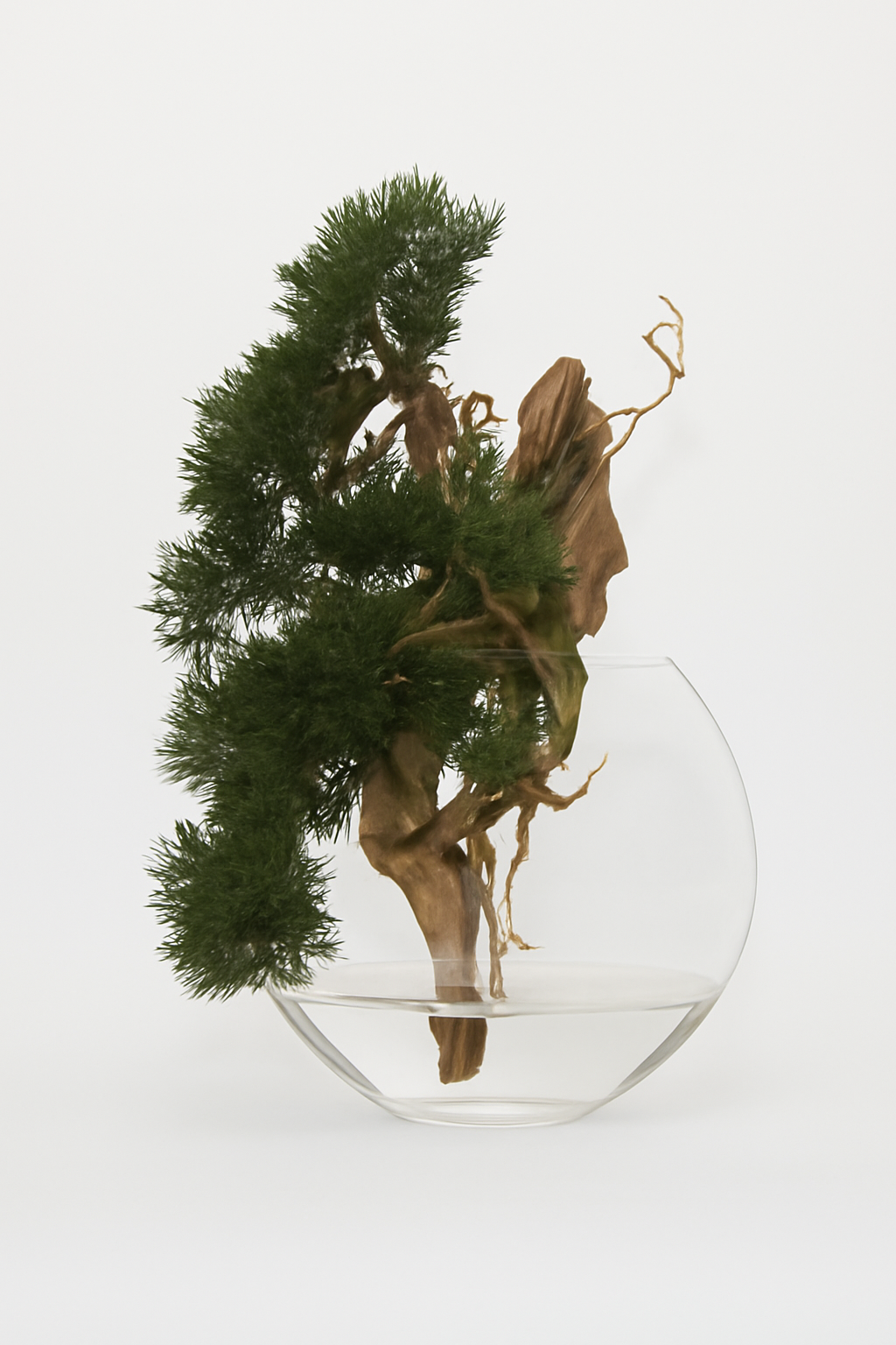 Objet décoratif en cèdre retombant dans vase en verre