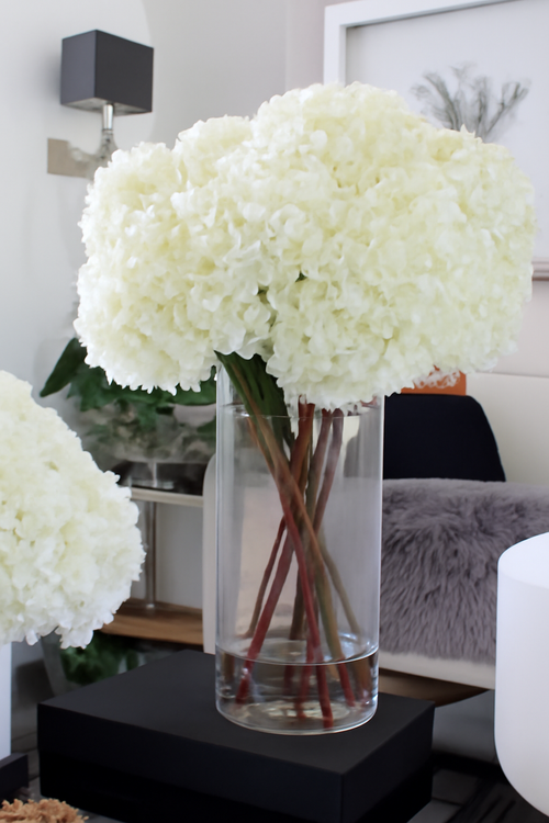 Bouquet d'hortensias blancs dans vase haut en verre transparent