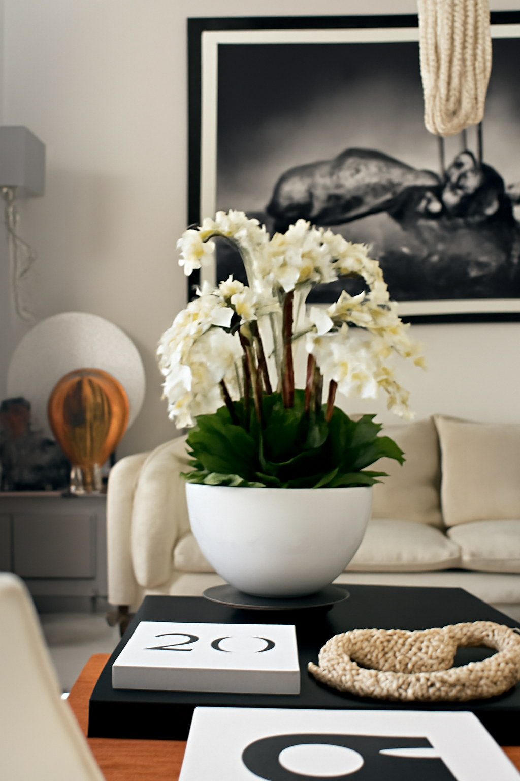 Orchidées blanches dans coupe en fibre de verre blanc brillant